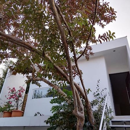 Willa Casa Mango 3 Amplio Departamento Río Verde Zewnętrze zdjęcie
