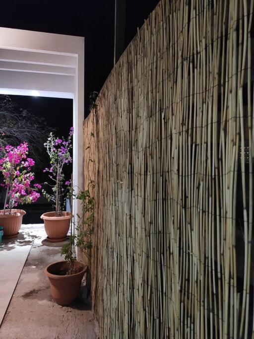 Willa Casa Mango 3 Amplio Departamento Río Verde Zewnętrze zdjęcie
