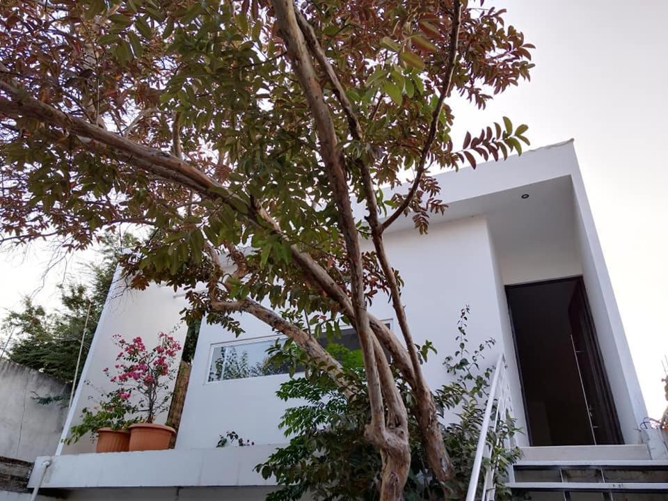 Willa Casa Mango 3 Amplio Departamento Río Verde Zewnętrze zdjęcie